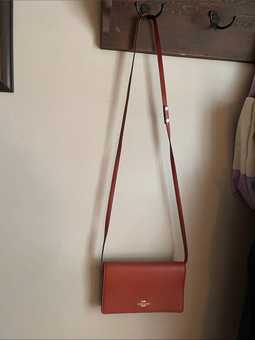 Coach Small Crossbody Bag in Rust Brown